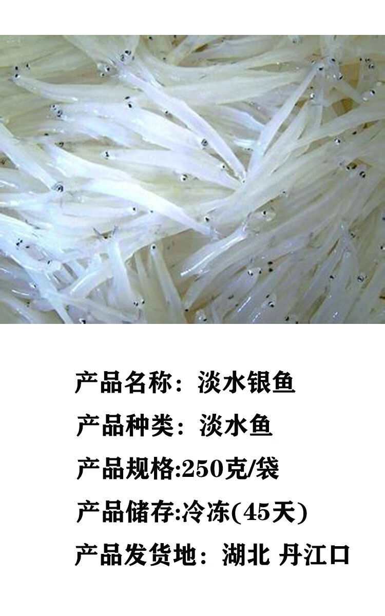 新鲜银鱼小银鱼面条鱼淡水大银鱼玻璃鱼冷冻水产大银鱼腾旺纳跃8到12