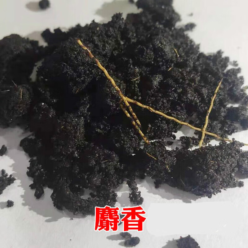 伟博中药材青海麝香人工养殖麝香粉麝香1克g人工麝香粒仁中草 养殖
