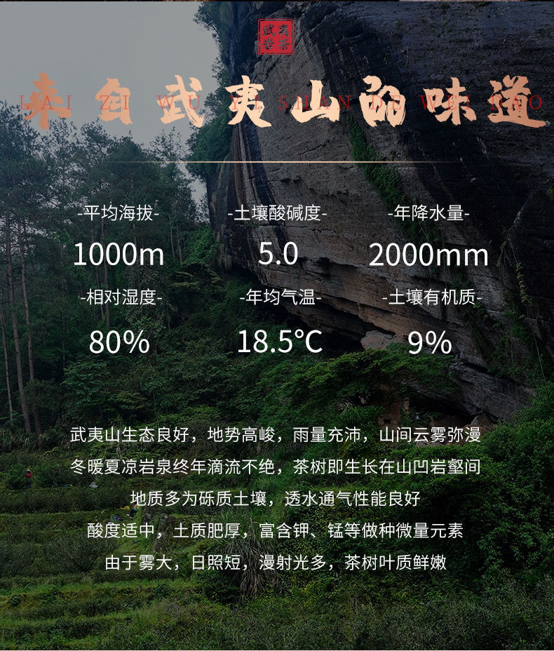 武夷山大红袍茶叶特级武夷岩茶燕子窠肉桂浓香型乌龙茶礼盒装250g燕子