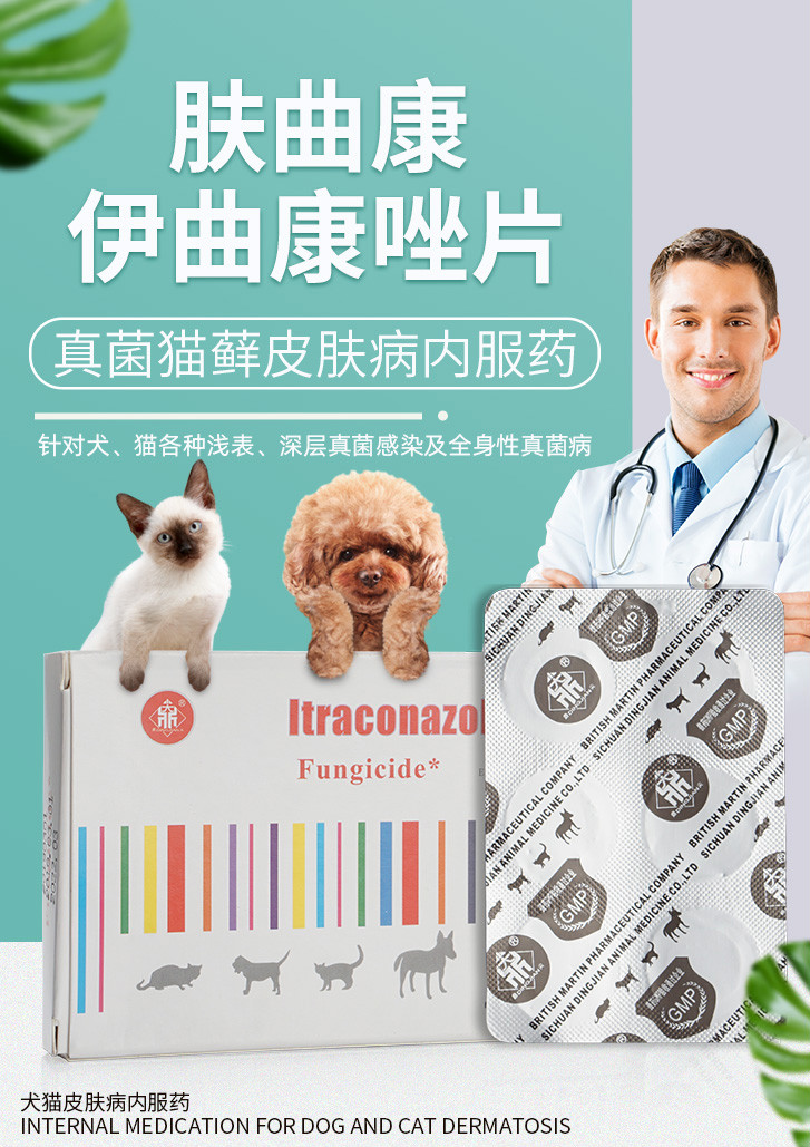 伊曲康唑片宠物狗狗猫真菌猫癣狗藓脱毛挫皮肤病瘙痒内服药