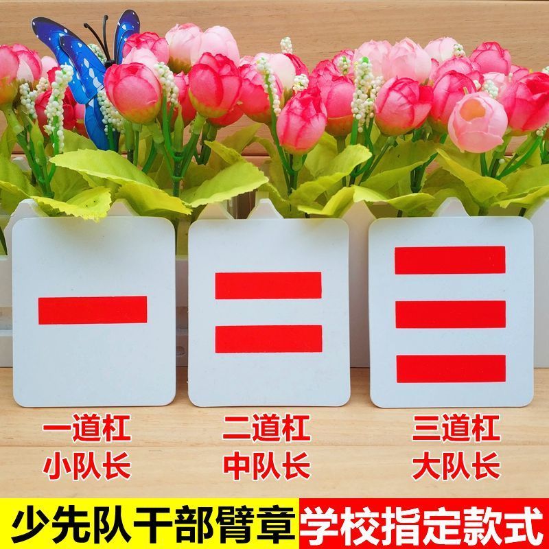 小学生少先队干部臂章一二大队长中队长小队长少先队委袖章一道杠小