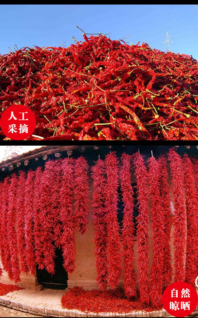 陕西秦椒兴平油泼辣子香辣线椒微辣凉皮红油上色辣椒粉1斤中粗秦椒1斤