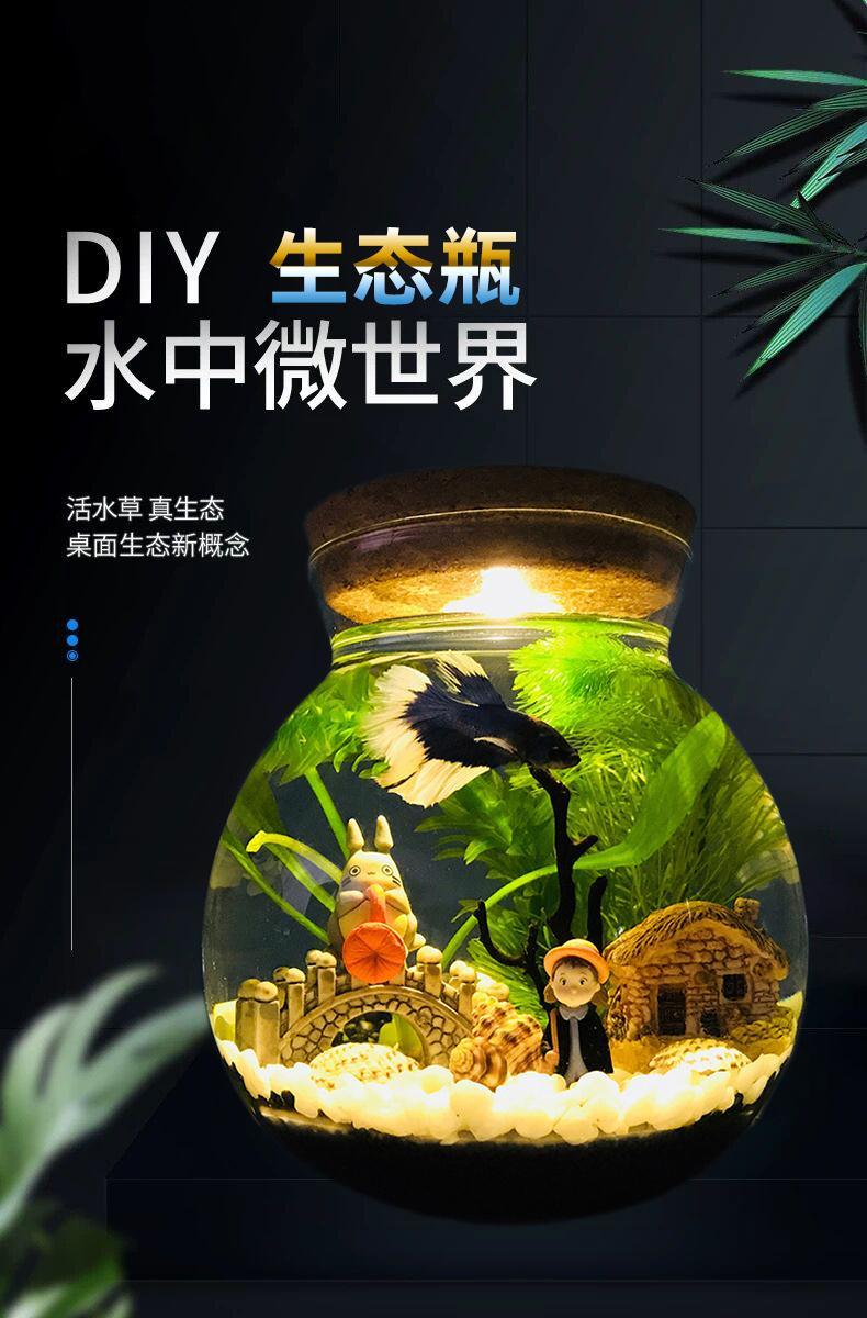 微景观生态瓶微景观水族箱造景斗鱼缸创意缸办公桌面书桌客厅观赏玻璃