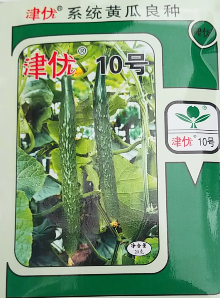 津优10号40号48号黄瓜种子大棚基地露天种植黄瓜种籽当季黄瓜种籽津春