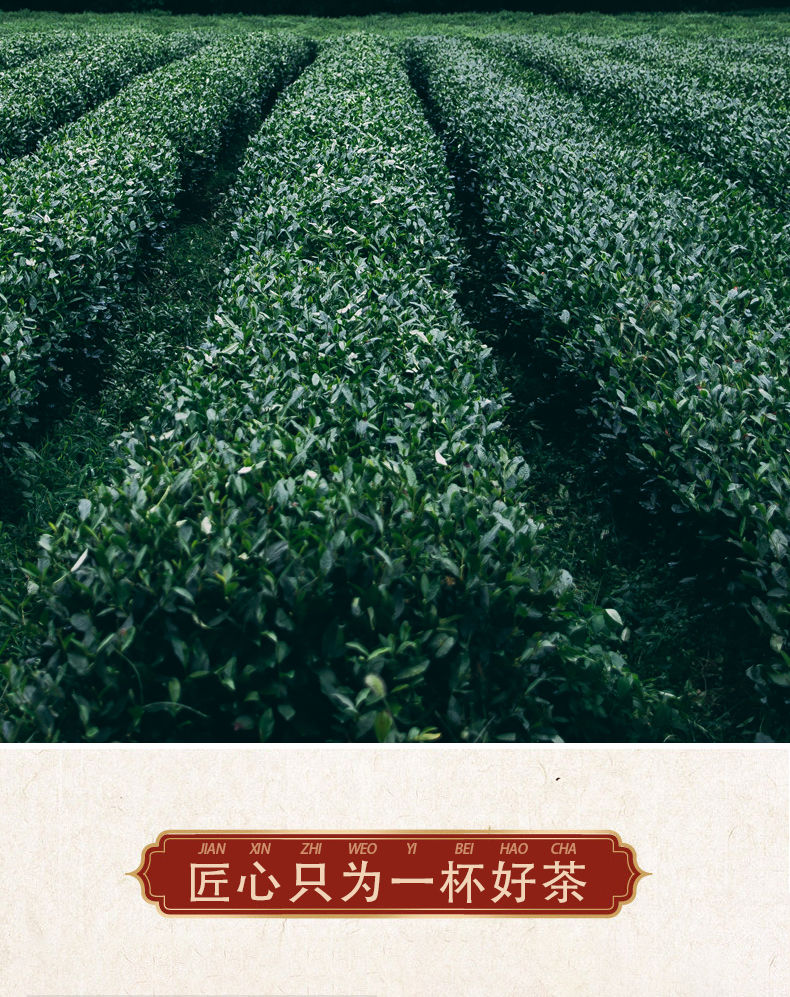 福鼎白茶散茶寿眉正宗陈年老白茶2016点头镇高山产区口粮茶 老白茶2袋