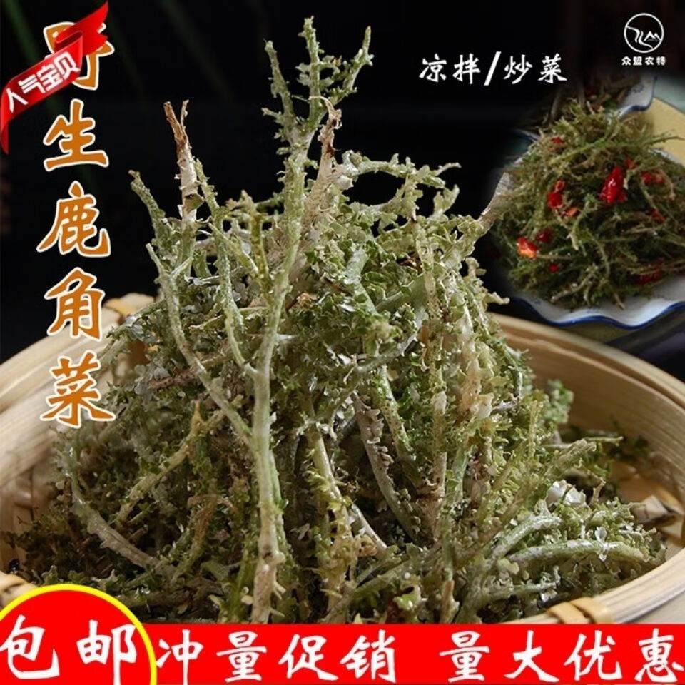 甘南特产高原鹿角菜高海拔森林冶力关山野菜干货可做凉拌菜珍100克