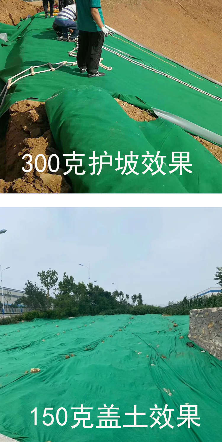 隆鼎绿色土工布建筑工地防尘布盖土盖沙无纺布绿化棉养护保湿防寒保暖