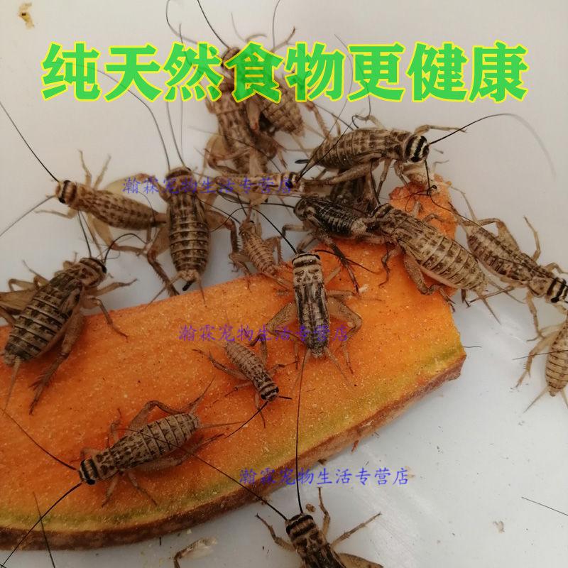 22f54054b53ac58e.jpg