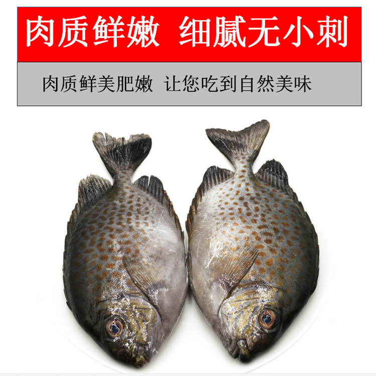新鲜花泥猛鱼5斤海捕新鲜急冻锁鲜水产半斤肉厚鲜嫩营养宝宝爱吃1斤13