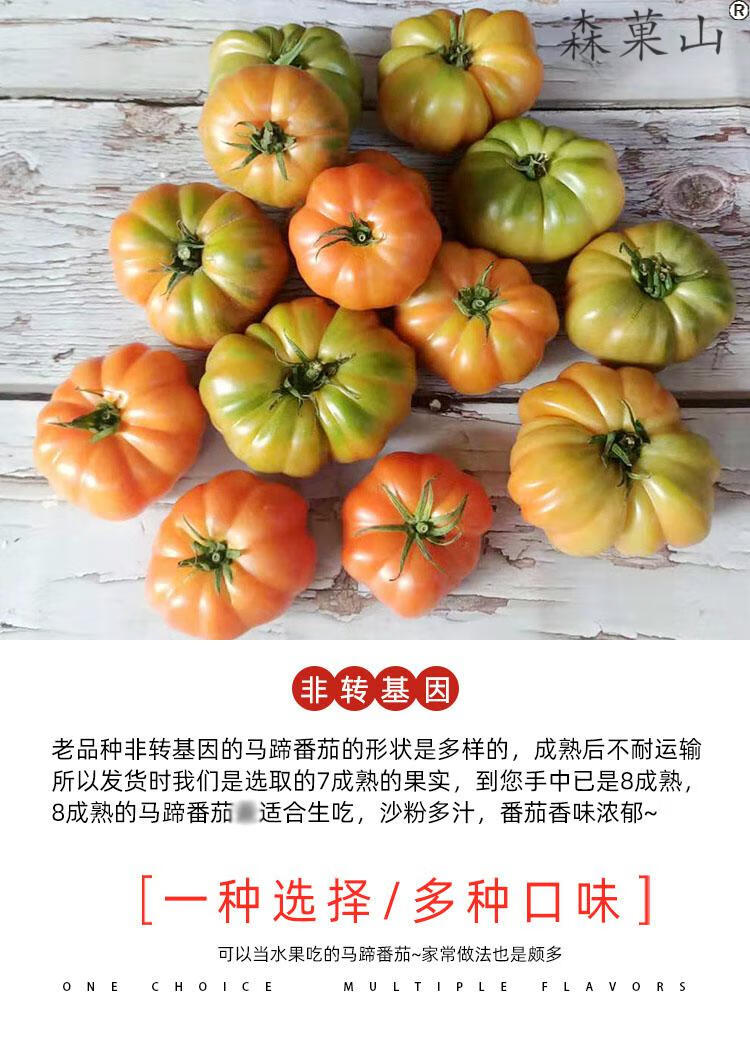 老品种潮汕特产马蹄番茄新鲜生吃西红柿水果现摘现发应季2500g