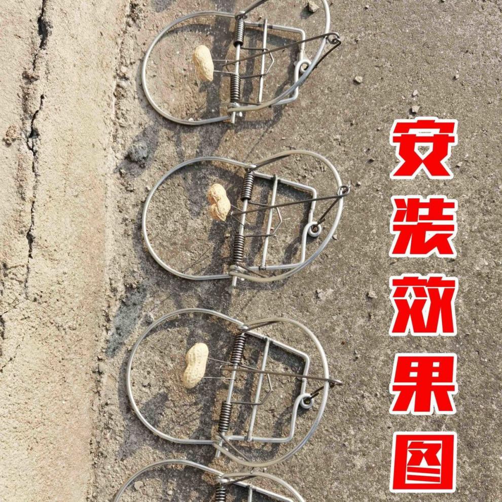 捕兔子铁夹子家用加强老鼠克星家用老鼠夹捕鼠器灭鼠神器捉田鼠铁质