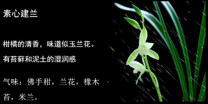 山中调香水四月兰花集香水兰花味素心兰西普蕙兰100ml山中调香水四月