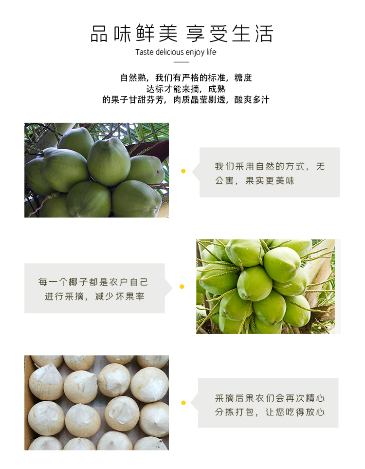 素界泰国奶椰椰青 新鲜椰子去皮泰鲜园小奶椰海南新鲜孕妇热带水果 10