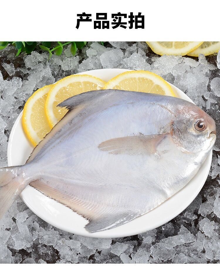ff610ff24767b0cc.jpg