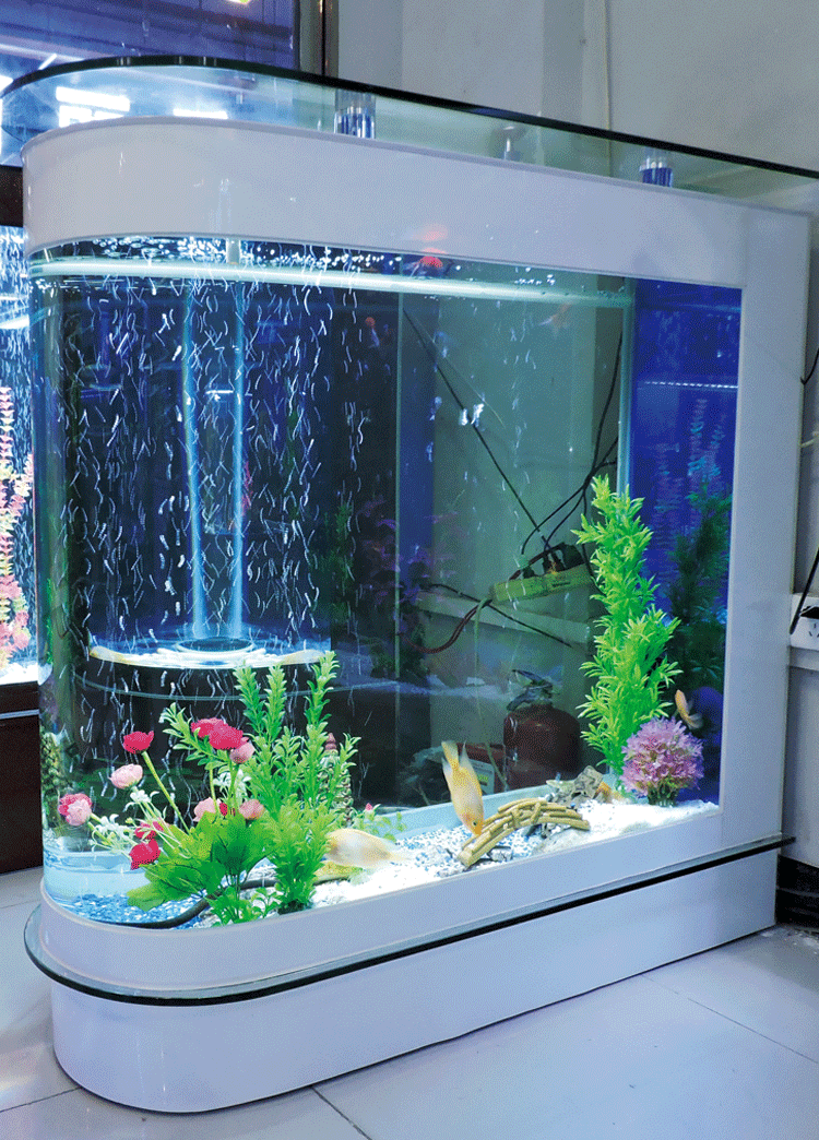 旧显示器改鱼缸_1米旧鱼缸 废物利用_旧鱼缸清洗