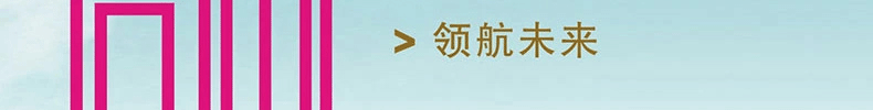 5D圆钻钻石画满钻 十字绣八骏图2米钻石绣新款客厅 十字绣马到成功贴钻画点钻粘钻水晶钻系列 5D钻石画-闪亮圆钻-126*53CM