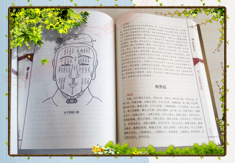 图解麻衣神相 柳庄神相 水镜神相 白话全译古书3册 命理书籍 易经五行