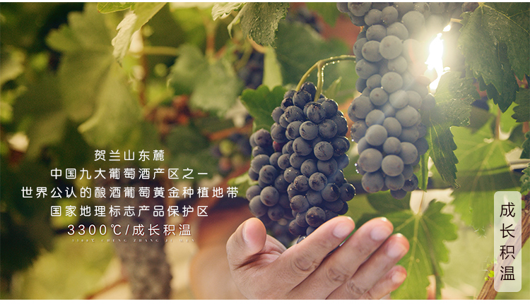 国产红酒 25国侍酒师联合推荐 宁夏贺兰山 贺兰