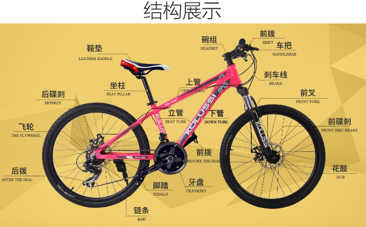 骑行运动24速铝合金山地车变速器女士双碟刹山地车单车运动 红色