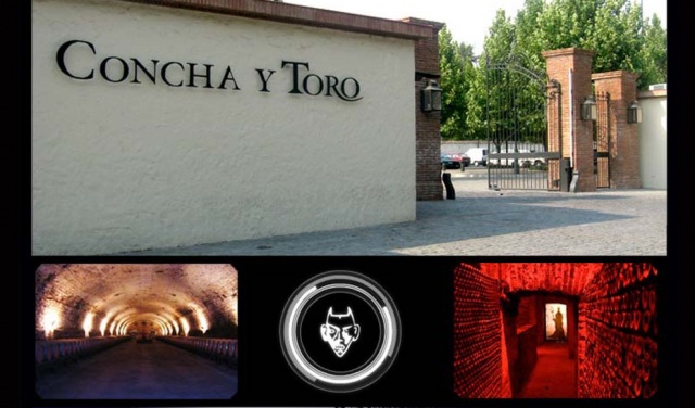 干露酒园 红魔鬼 梅洛干红葡萄酒 智利进口红酒