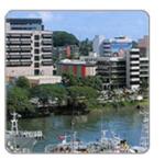 FIJI 斐濟(jì)群島 斐泉 斐濟(jì)天然礦泉水 330ml*36 專柜正品熱賣