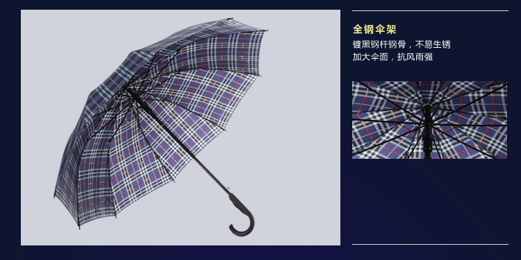 天堂伞 高密拒水自开直杆晴雨伞170E格016兰色