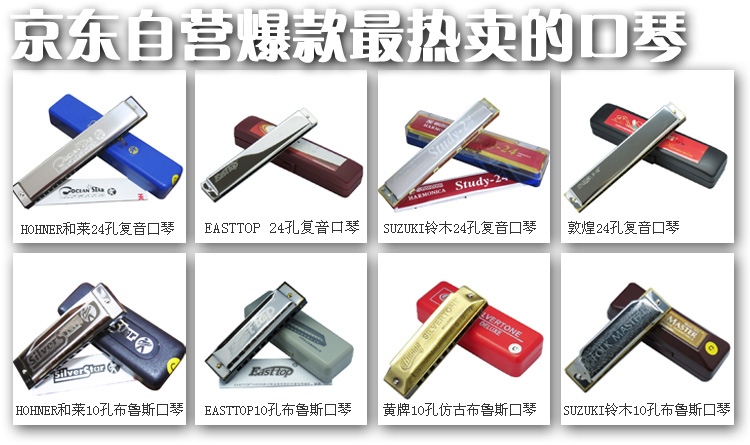 SUZUKI铃木 10孔布鲁斯演奏口琴1072C调 价