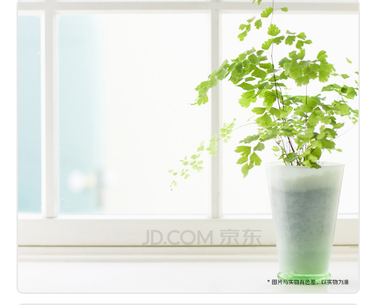 
                                        
                                                            明高 电子速读厨房温度计 颜色随机/食品温度测量/饮品温度测量/电子LCD显示                