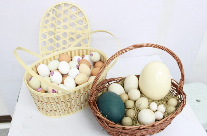 含维生素E的食物都有哪些? – 京东商城