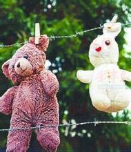 毛绒玩具清洗方法 – 京东商城