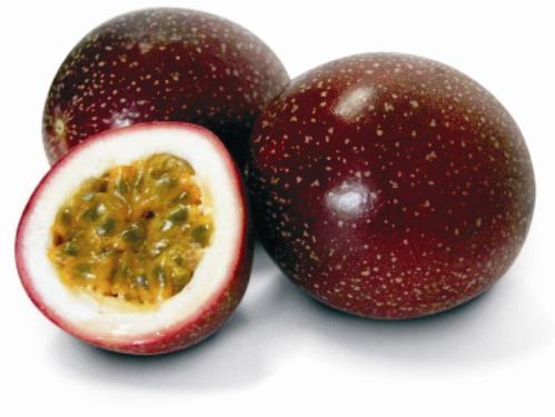 ���������������ʩ���л��ʵ���ֲ����