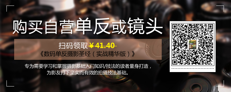 尼康(NIKON) Coolpix A900 便携数码相机(2029万像素 35倍光学变焦 CMOS传感器 4K超高清 无线传输)银色