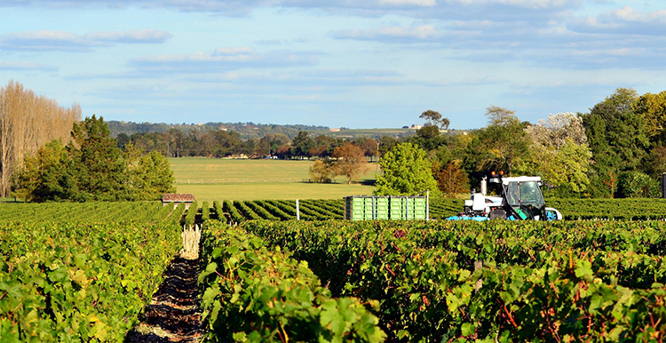 京东海外直采 法国进口红酒 波尔多波亚克产区