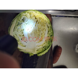 夏彭飞：育种优中选优 “吃青”挑选更多