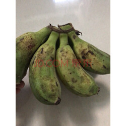 【东莞馆】香蕉 苹果蕉 小米蕉 芭蕉 粉蕉 新鲜水果 小米蕉5斤 实拍图
