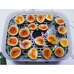 广元昭化：各镇齐发动 森林放救活“大练兵”正在进行时