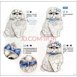 绘·森·活:呆萌小动物画起来 实拍图