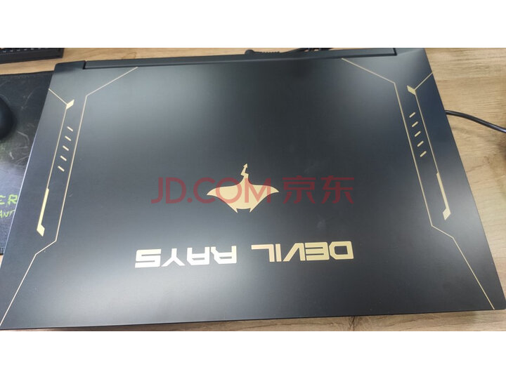 未来人类魔鬼鱼DR5金锐之师15.6英寸窄边轻薄游戏笔记本怎么样, 亲身使用经历曝光 ，内幕曝光 首页推荐 第3张