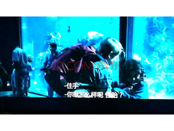 风行电视 49英寸 49Y1家用液晶网络平板智能电视机怎么样,性能同款比较评测揭秘 首页推荐 第9张-商情88推广网