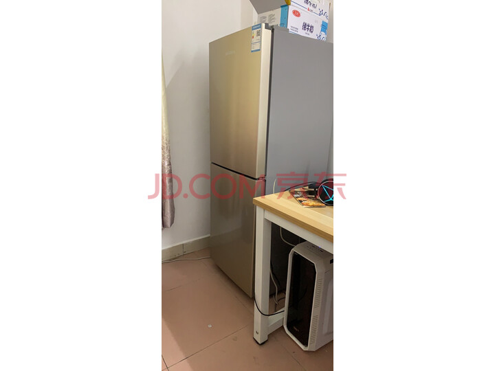 新飞（Frestec）小型双门两门小冰箱BCD-118L2D新品测评好不好【为什么好】媒体吐槽 首页推荐 第8张