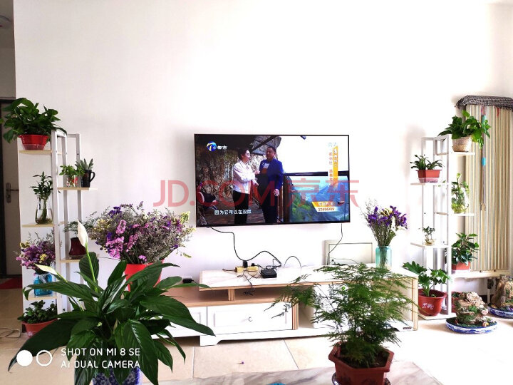 海信(Hisense)H55E75A液晶网络电视机质量众测怎么样呢???质量靠谱吗,在线求解 首页推荐 第2张-商情88推广网