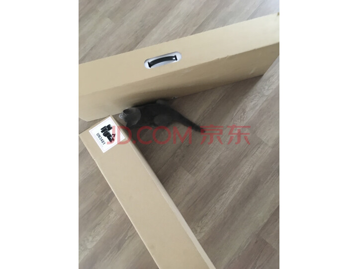 戴森(Dyson) 吸尘器 V11 ABSOLUTE 智能无绳吸尘器新品测评好不好【猛戳查看】质量性能评测详情 首页推荐 第9张-商情88推广网