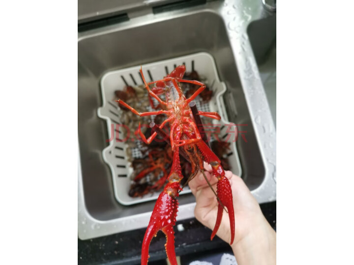 方太(FOTILE)水槽洗碗机JBSD2T-X9SL质量众测怎么样呢???口碑质量真的好不好- 首页推荐 第5张-商情88推广网