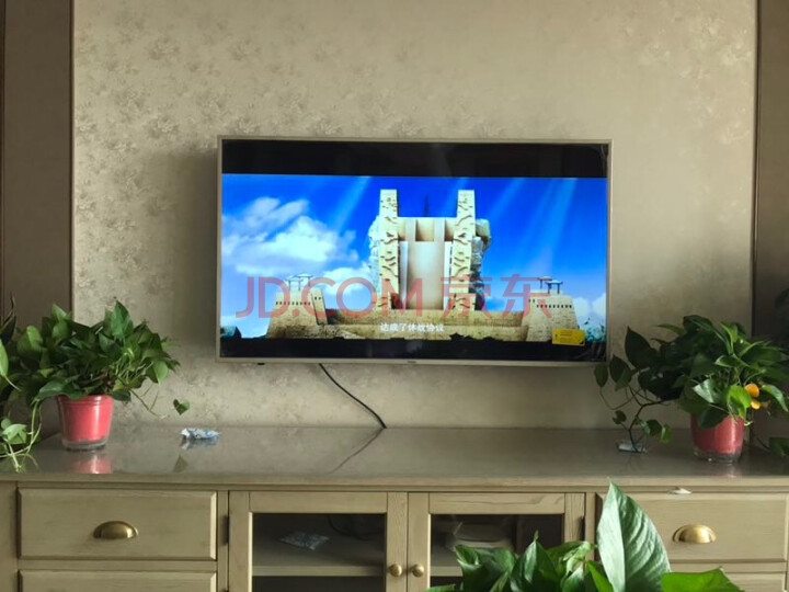 海尔(Haier)LU55X81液晶电视质量众测怎么样呢???质量靠谱吗,在线求解 首页推荐 第1张-商情88推广网