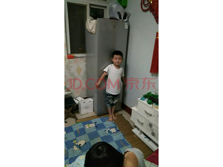 新飞（Frestec）小型双门两门小冰箱BCD-118L2D新品测评好不好【为什么好】媒体吐槽 首页推荐 第1张