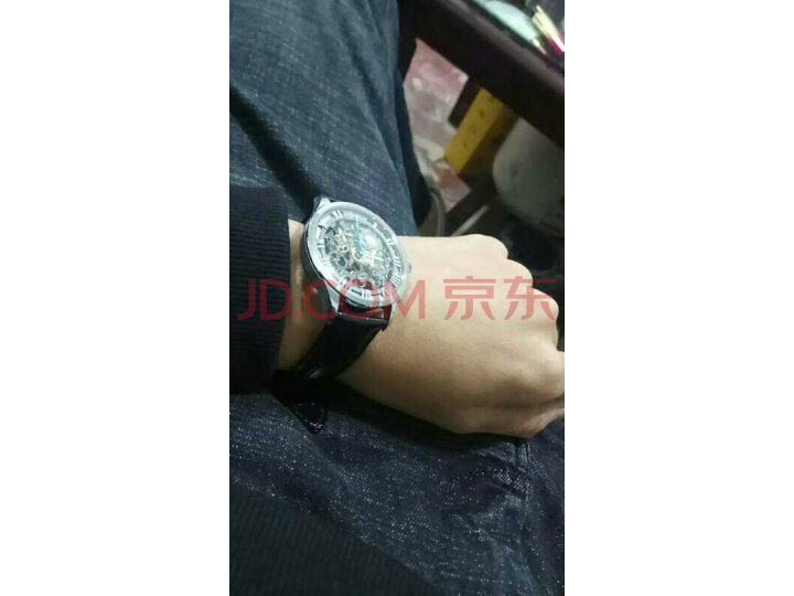 艾戈勒(agelocer)瑞士进口手表 博世月相系列6401A1怎么样【分享揭秘】性能优缺点内幕 首页推荐 第4张-商情88推广网