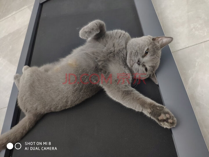 Keep健走机W1 智能家用走步机怎么样?性能比较分析【内幕详解】 首页推荐 第9张-商情88推广网