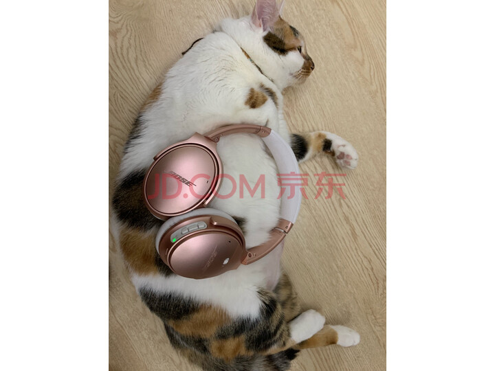 Bose QuietComfort 35 II无线消噪耳机—黑色 QC35怎么样？入手半年内幕评测，优缺点详解 首页推荐 第5张