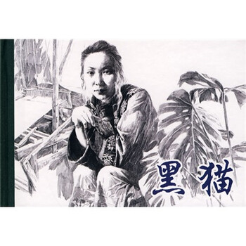 連環(huán)畫(huà)小人書(shū)