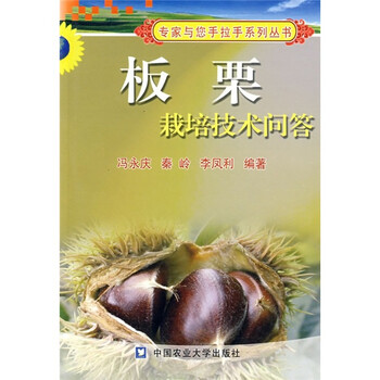 板栗